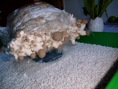 03.04..jpg (408.58 KiB) 21970 mal betrachtet 03.04.