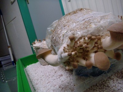 05.04-2.jpg (383.42 KiB) 21970 mal betrachtet 05.04.