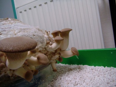 05.04..jpg (336.79 KiB) 22773 mal betrachtet 05.04.