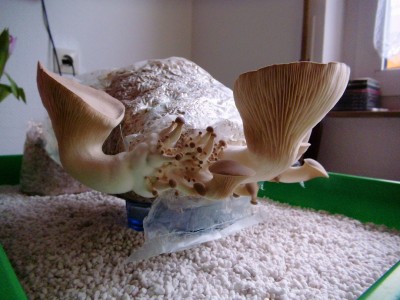 08.04..jpg (373.78 KiB) 21970 mal betrachtet 08.04.