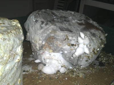 KsaufKaffee1.jpg (114.53 KiB) 21093 mal betrachtet KS auf Kaffeesatz mit Filtern ohne Zuschläge !