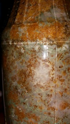 20150313_010738.jpg (396.86 KiB) 12327 mal betrachtet zwischen denm Grünschimmel, den Bakterien,.. scheint noch Mycel zu sein. Ob man den zum Fruchten bringen kann und der dann ungiftig ist?^^