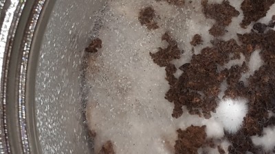 20180214_113032.jpg (427.05 KiB) 13028 mal betrachtet Hier das fragwürdige Mycel.