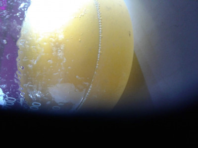 20190613_194745.jpg (56.69 KiB) 19868 mal betrachtet Milchige flüssigkeit