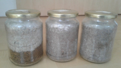 20210218_084017.jpg (929.89 KiB) 12802 mal betrachtet vlnr. Glas 7,11,10