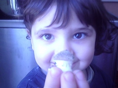 068.JPG (115.27 KiB) 26934 mal betrachtet Dieser Mini ist schon abgefallen.